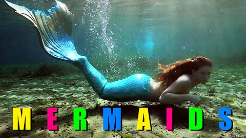 SWIMMING WITH THE MERMAIDS