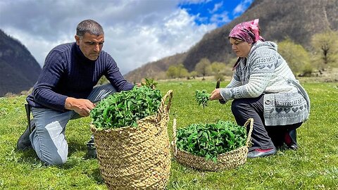 Collecting Nettles in the mountains of Azerbaijan and cooking the Dishes of our Ancestors