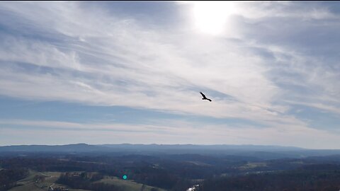 Found Dozens of my Raptor Friends!!! and got to fly with the same one from a couple days ago!!!