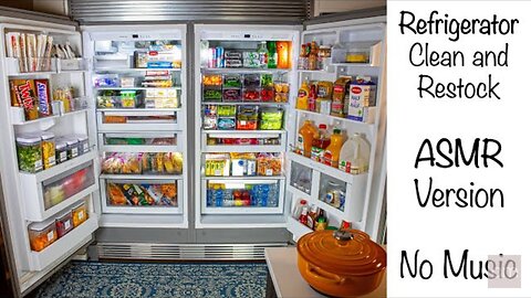 Satisfying Refrigerator Organization ASMR