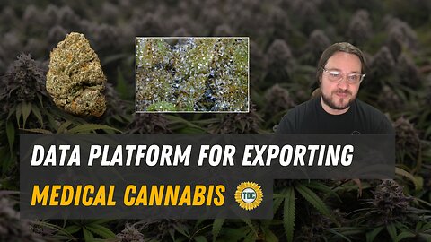 Data Platform for Medical Cannabis Exporter
