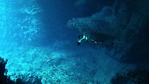 Free divers explore Tonga's mysterious and beautiful Swallow's Cave