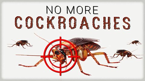 HOW To Get RID of COCKROACHES || Home Remedies