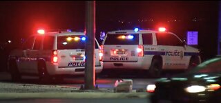 Henderson police involved in deadly pedestrian crash