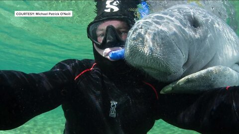 Photographer takes underwater selfie with manatee