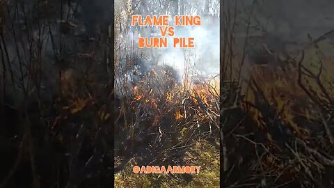 Flame King propane torch versus big burn pile.