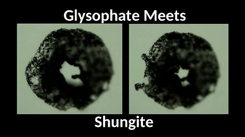SHUNGITE REALITY 4-2-24 CLIP - Glysophate Meets Shungiite Video