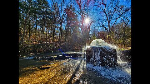 Gray Spring, Yellville, Arkansas (December 15th, 2022)