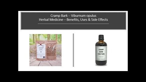 Viburnum opulus Cramp Bark Herbal Medicine Benefits, Uses & Side Effects