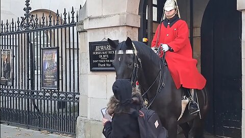 Tourist please get off your phone another one walks in the horse 😆 🤣 😂 #horseguardsparade