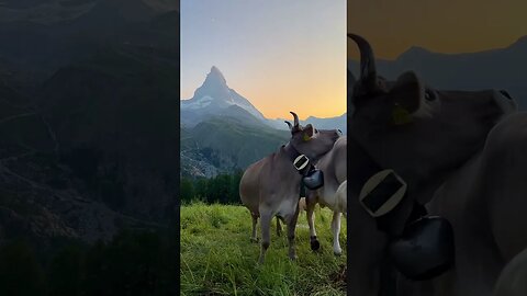 Is Switzerland the MOST BEAUTIFUL country in the WORLD?!
