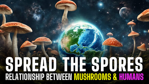 Spread The Spores - A Symbiotic Theory of Mushrooms & Humans