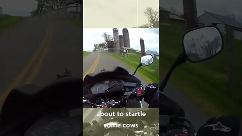 Motorcycle ride, Lancaster county barns, A covered Bridge, and a bad driver.