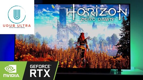 Horizon Zero Dawn POV | PC Max Settings | 4k Gameplay | RTX 3090 | AMD 5900x | Campaign Gameplay