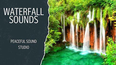 Relaxing Forest Waterfall Nature Sounds