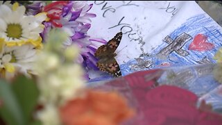 A butterfly release to honor Gabby Petito