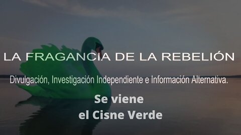 Se viene el Cisne Verde