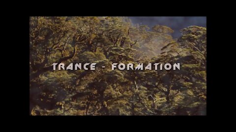 Max Igan - Trance-Formation