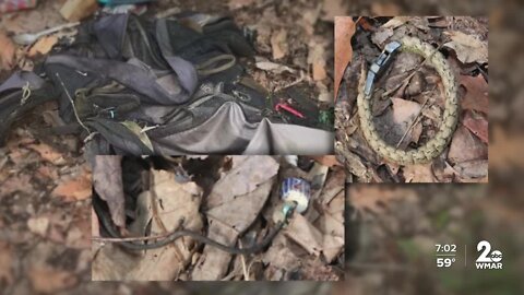 'This body has been out here at least a year': Human Skeletal remains found in Cecil County