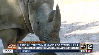 Free shuttle to Maryland Zoo starts July 1