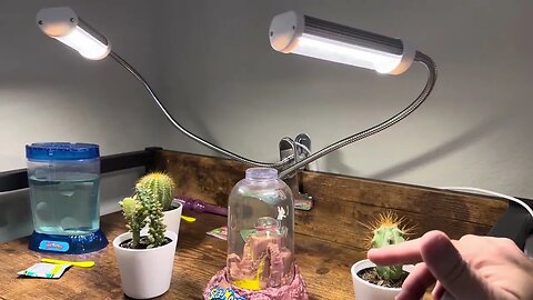 Overview | zyzykeji Grow Lights for Indoor Plants