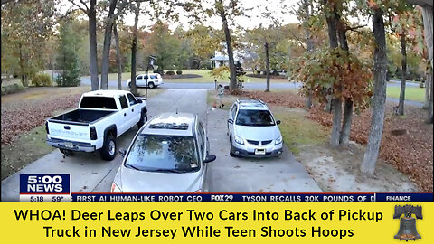 WHOA! Deer Leaps Over Two Cars Into Back of Pickup Truck in New Jersey While Teen Shoots Hoops