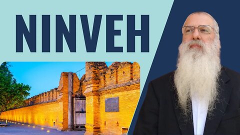 Yom Kippur Ninveh Nitzavim