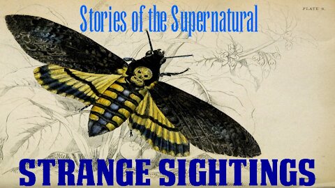 Strange Sightings | Interview with Al Santariga | Stories of the Supernatural