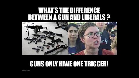 Dumbest Liberal Gun Quotes 6 - Best Anti-Gun Fails Compilation - SJW Fail vs. 2nd Amendment