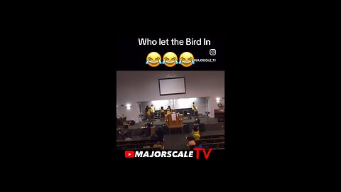 Bird flies into church 🐦‍⬛⛪️😂🤣