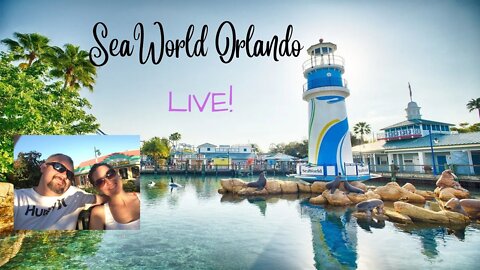This may be our final SeaWorld Livestream for a while