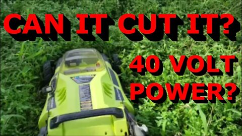 Ryobi 40v Lawn Mower Cutting Tall Grass | Can it? How did it do?