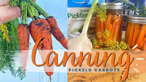Pickled Carrots | Zone 3 Garden Tour | Garden Harvest 2022