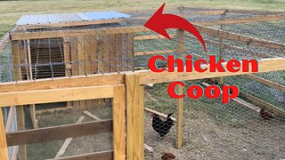 DIY Chicken Coop