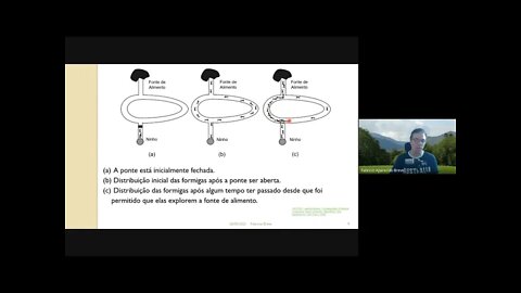 11 - Ant Colony Optimization - Computação Inspirada pela Natureza (Versão Meet)