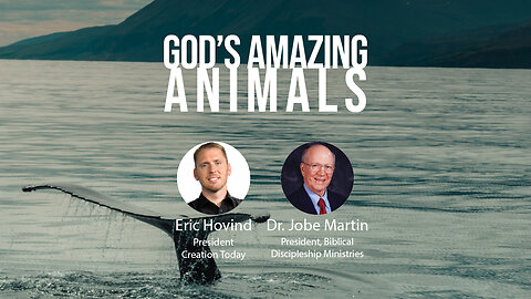 God's Amazing Animals | Eric Hovind & Dr. Jobe Martin | Creation Today Show #206