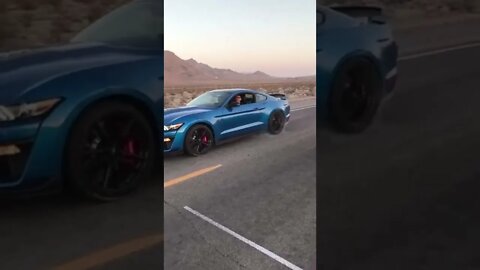 Shelby Mustang and Dodge....Power Performance ...#viral #shorts