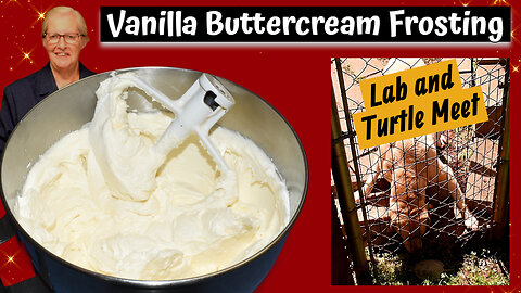 Delicious Fluffy Vanilla Buttercream Frosting, Labs' Encounter with a Turtle, Inspirational Thought