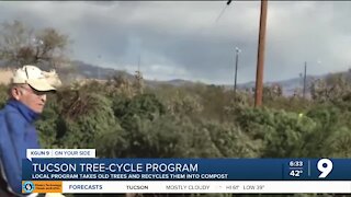 TreeCycle program returns for the 24th year