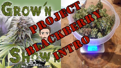 Grow'n N Show'n with SJ [Series 1] Introduction to "Project Blackberry"[LSR NETWORK]
