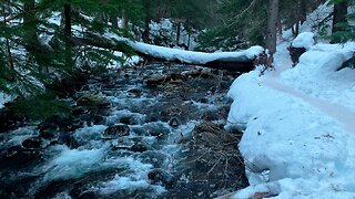 GORGEOUS 4K WINTER ICE HIKING Paralleling a Snowy Creek! | Tamanawas Falls | Mount Hood | Oregon