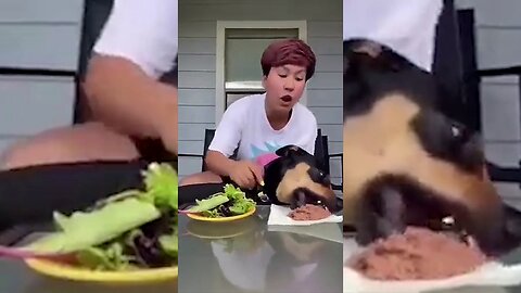 Crazy Vegan tries to prove her Dog is a Vegetarian. Gets Humiliated! 🥩🐕🥗