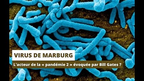 Virus Marburg ? S'agit-il de la « pandémie 2 » évoquée par Bill Gates en avril 2020 ?