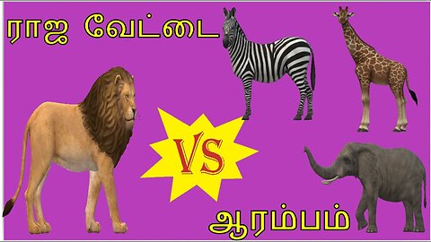 Raja Vedati|LION HUNTING VIDEO|GIRAFFE|ELEPHANT|WILD WATER BUFFALO|ZEBRA|MADHI YUGHAM|