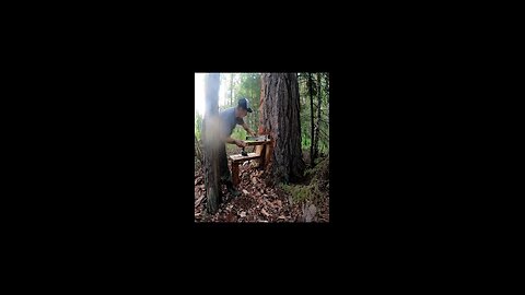 full 30 days to make a wooden house on a tree. #treehouse #build #building #camp #camping #bushcraft