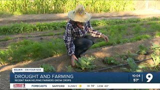 Rain helping some farmers but damaging to others