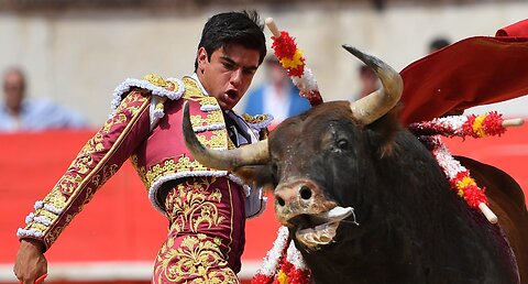 Most awesome bullfighting festival funny crazy bull fails