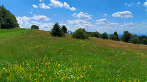 Hoherodskopf in the Vogelsberg mountains