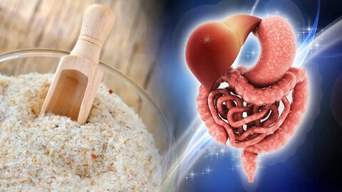 4 Razões Incríveis para Incluir Psyllium em sua Dieta