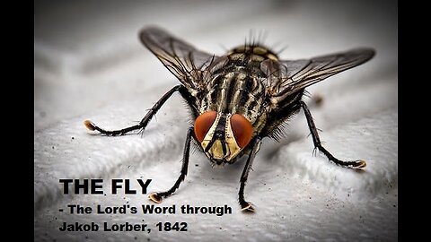 THE FLY - The Lord's Word through Jakob Lorber (book reading)